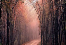 开云体育APP下载-心魔之巅：当冠军的盔甲裂开时，他们如何从自我怀疑中重生？