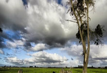 开云下载-绝境逆袭！匈牙利生死时速淘汰斯洛伐克，死亡之组惊险突围！