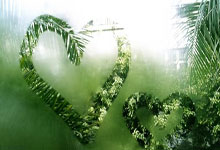 开云体育-蒙特雷主场迎战恩菲尔德，锋线火力引爆看点