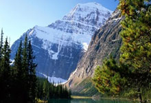 开云平台-桑巴旋风席卷赛场！巴西小将爆冷夺冠改写历史