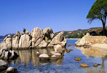 开云官网-绿茵祭坛上的豪强泪：欧冠连败暗夜启示录