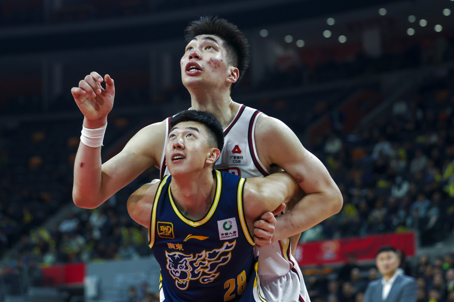 包含浙江队在比赛中发挥出色，成功击败对手的词条