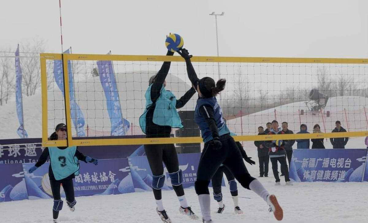 女子排球赛事落落大方魅力四射 女子排球赛事落落大方魅力四射
