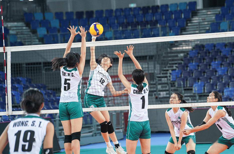 女子排球赛事落落大方魅力四射 女子排球赛事落落大方魅力四射