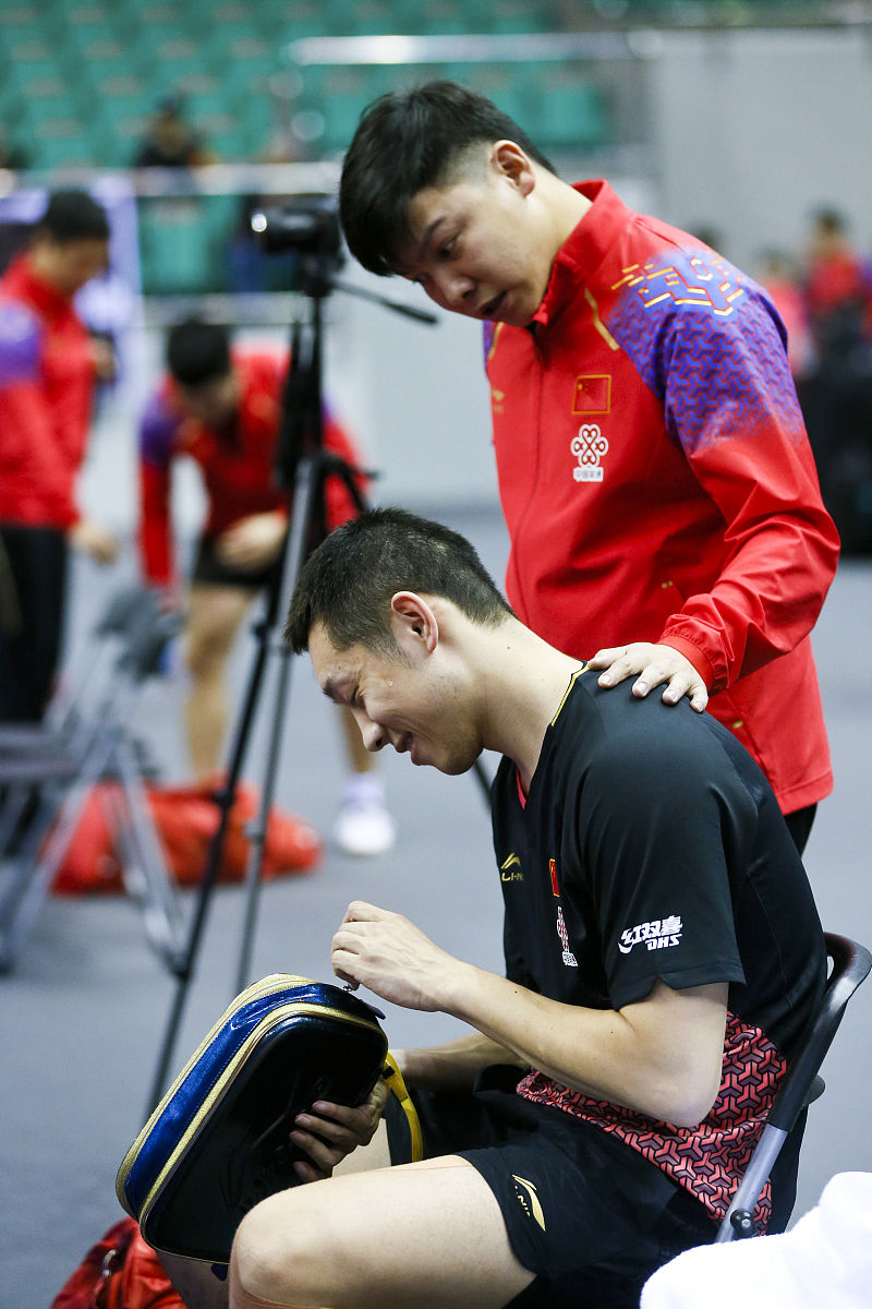 开云体育登录-关于法国队完胜波兰队，许昕高光表现的信息