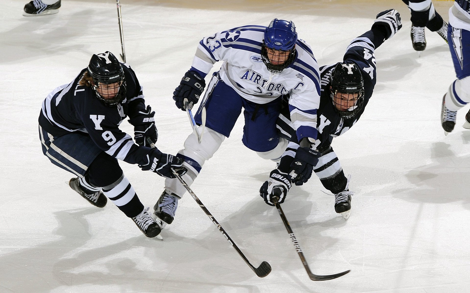 开云平台-北京雪夜，布克焚尽王朝之冰，一个人，一支箭，射落犹他神话